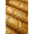 [Best Quality] ARCTERYX THORIUM AR Gold Inside Puffer Down Jacket (Water Proof)
