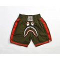 Bape x Readymade shark shorts
